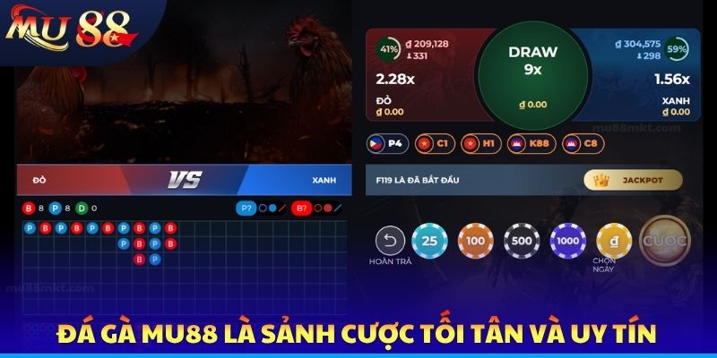 Đá gà MU88 là sảnh cược tối tân và uy tín