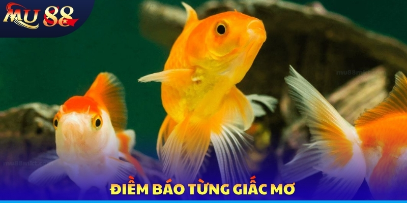 Điềm báo từng giấc mơ