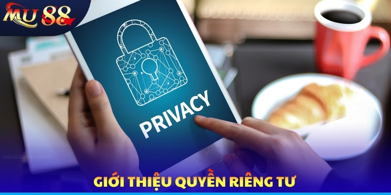 Giới thiệu quyền riêng tư
