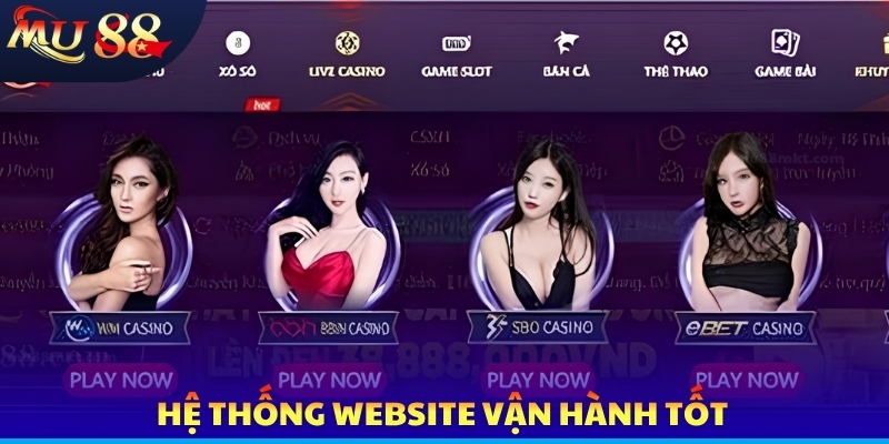 Hệ thống website vận hành tốt