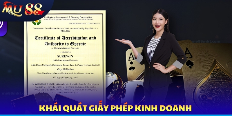 Khái quát giấy phép kinh doanh