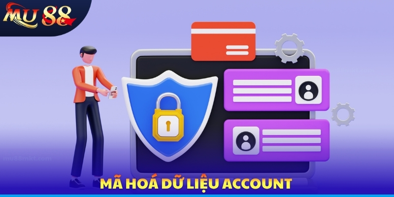 Mã hoá dữ liệu account