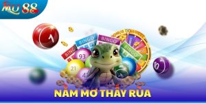 Nằm Mơ Thấy Rùa